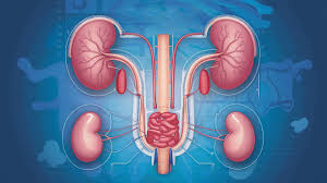 Urology