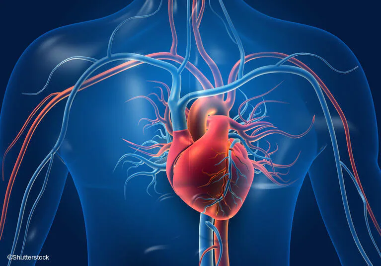 Cardiology